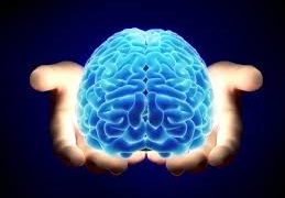 Le quattro intelligenze relazionali: un must per le imprese